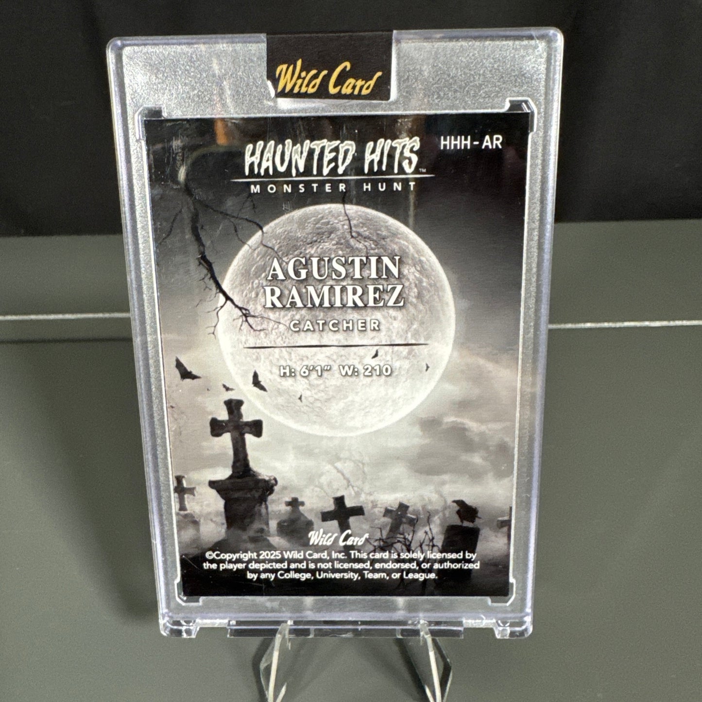 Agustin Ramirez Florida Marlins Card