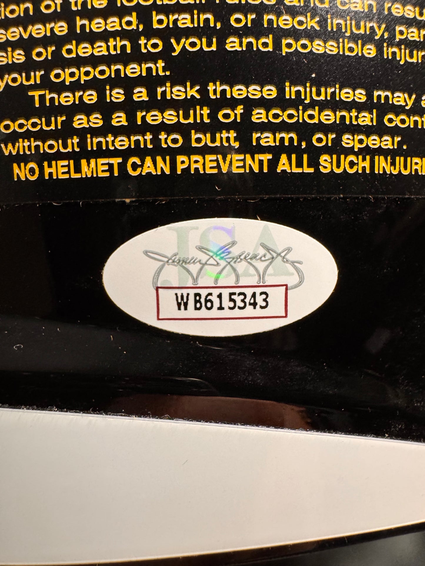 Michael Vick Pittsburgh Steelers Signed Full Size Helmets