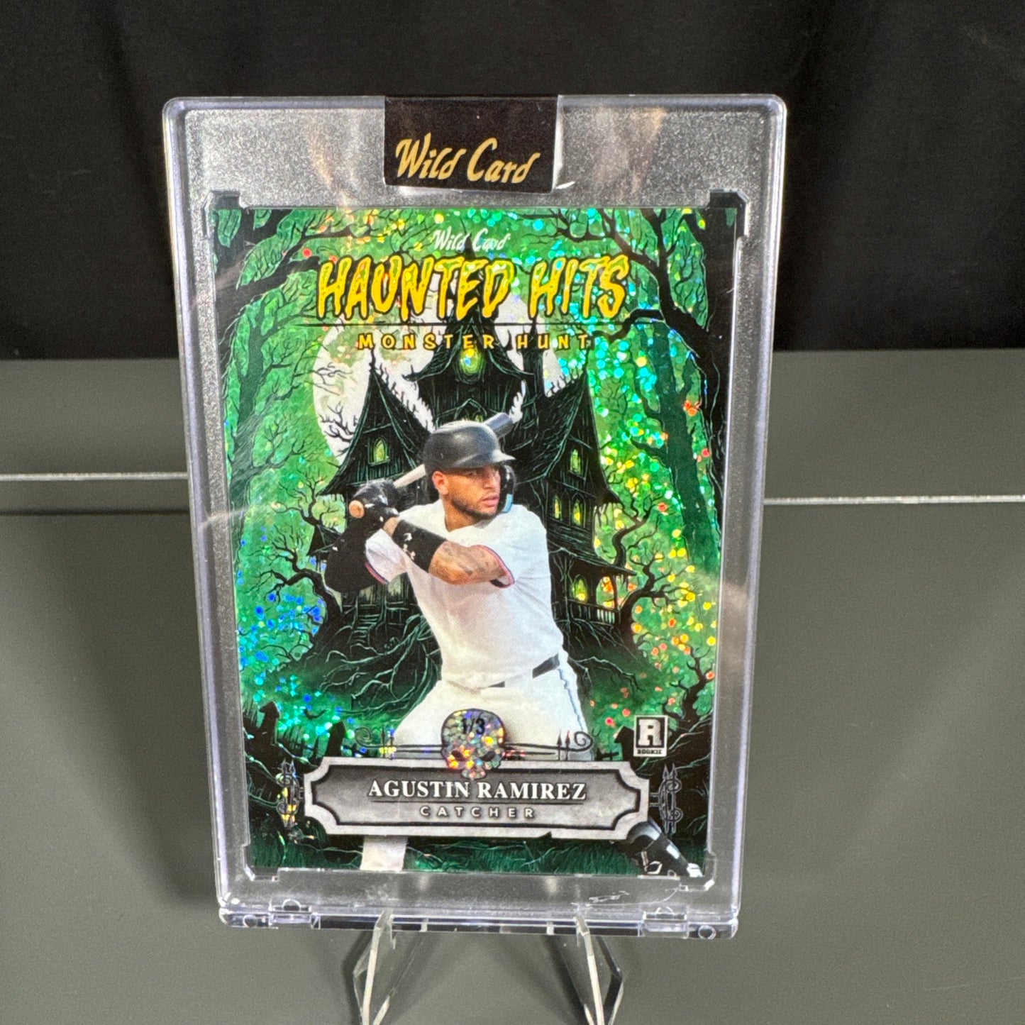 Agustin Ramirez Florida Marlins Card