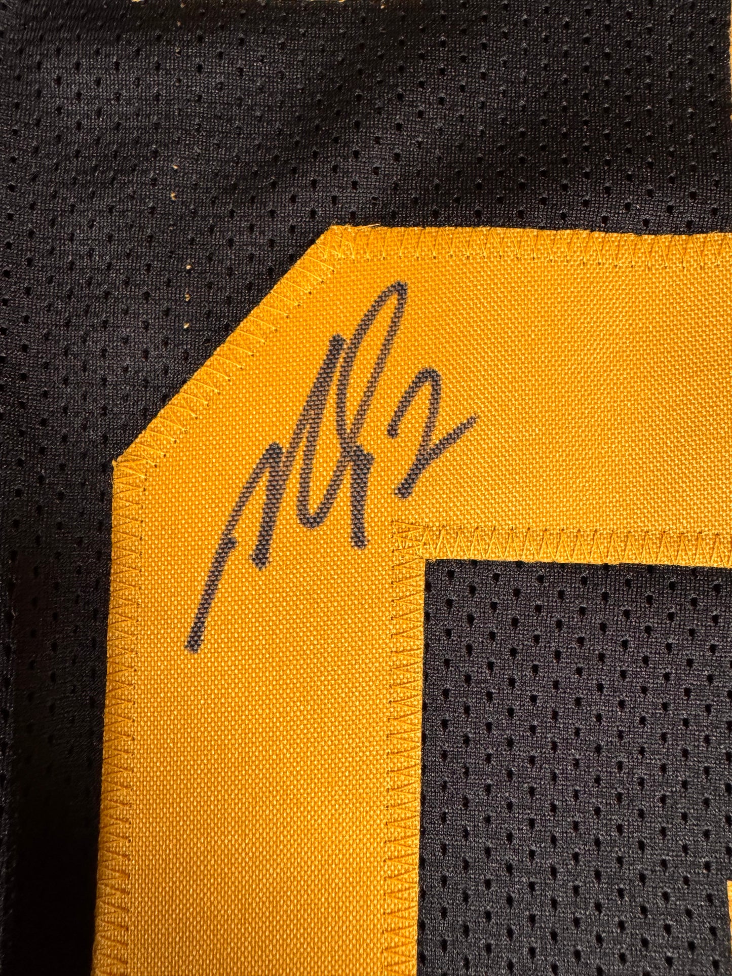 Michael Vick Pittsburgh Steelers Signed Jersey