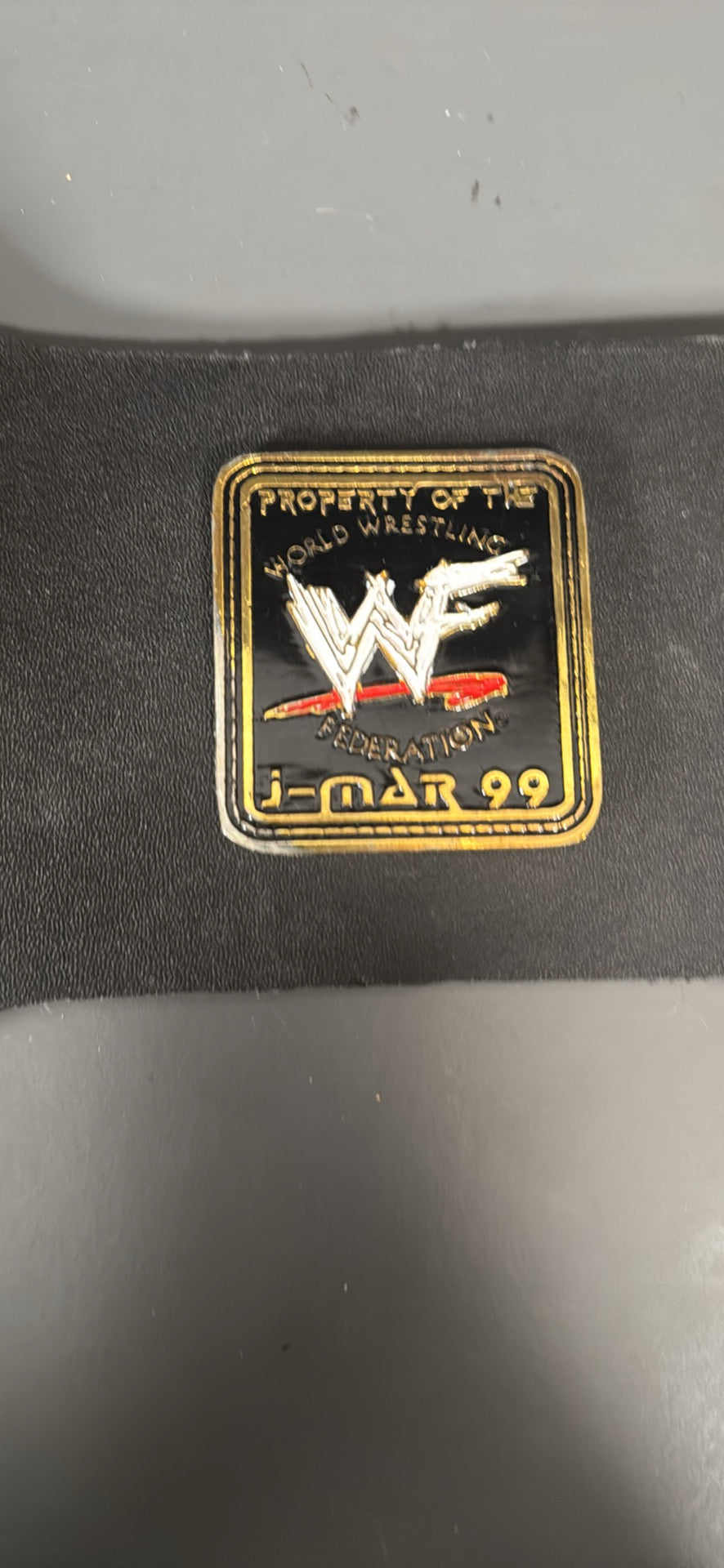 Stone Cold Steve Austin WWF Signed Belt