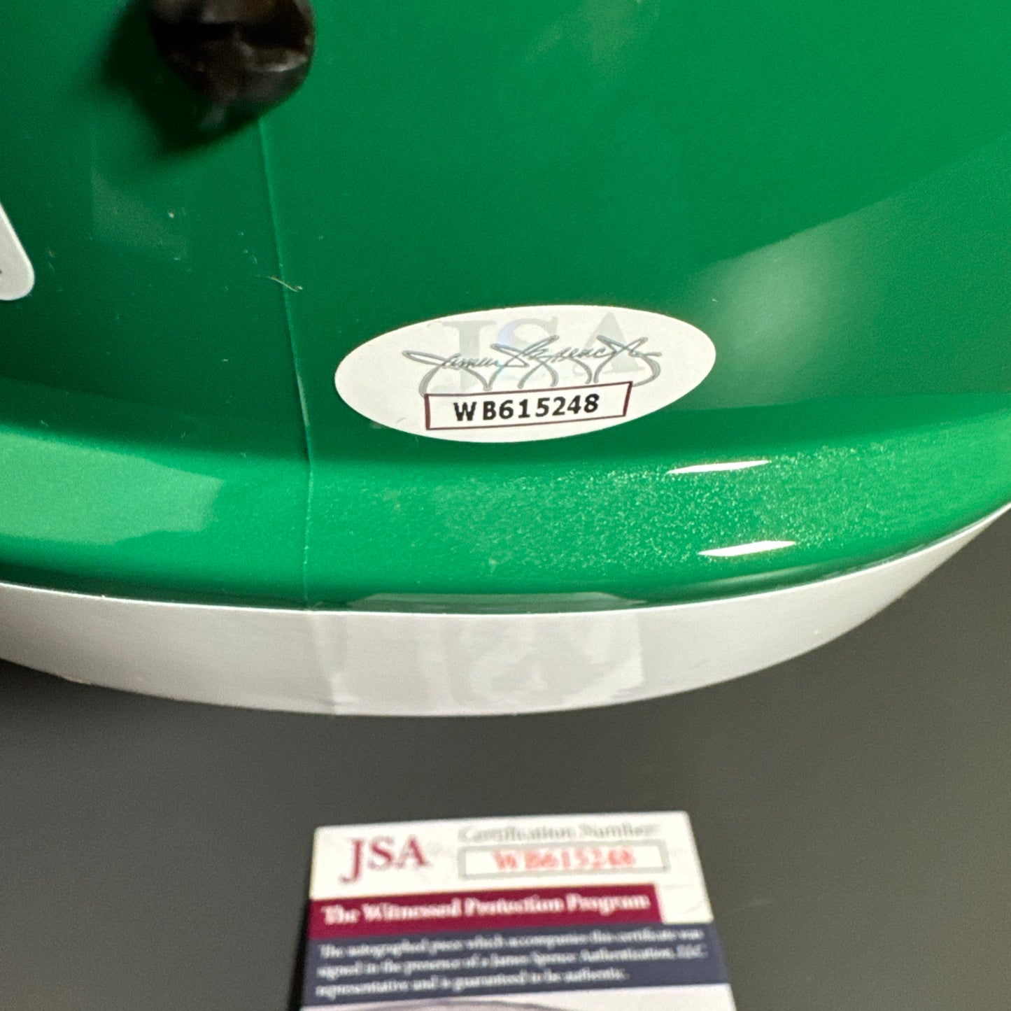 Michael Vick Philadelphia Eagles Signed Full Size Helmets