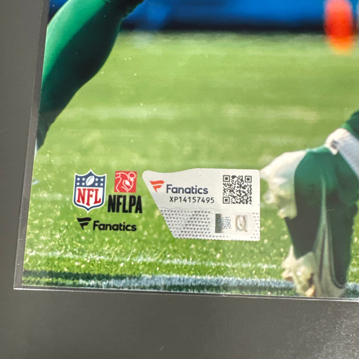 Terrance Marshall Carolina Panthers Signed Photo