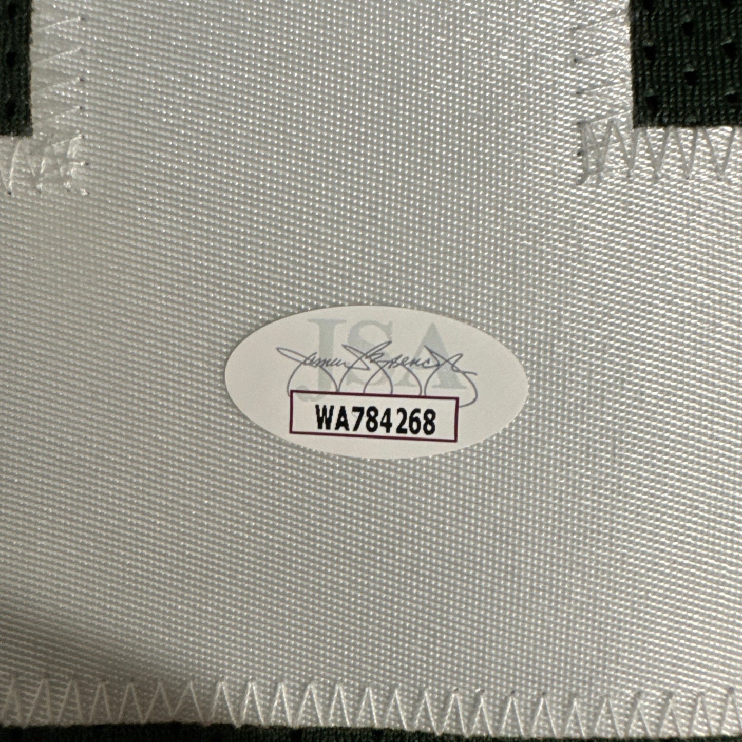 Michael Vick New York Jets Signed Jersey