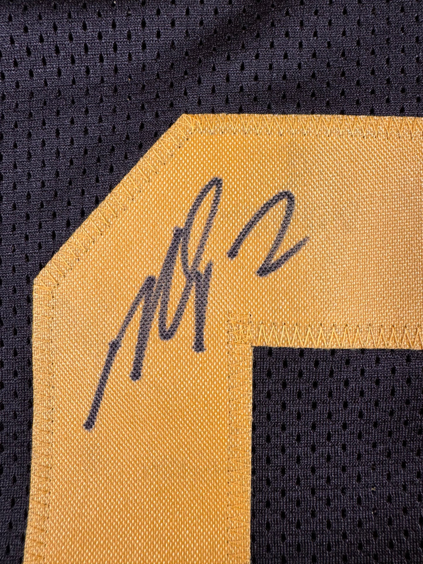 Michael Vick Pittsburgh Steelers Signed Jersey