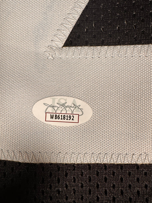 Michael Vick Pittsburgh Steelers Signed Jersey