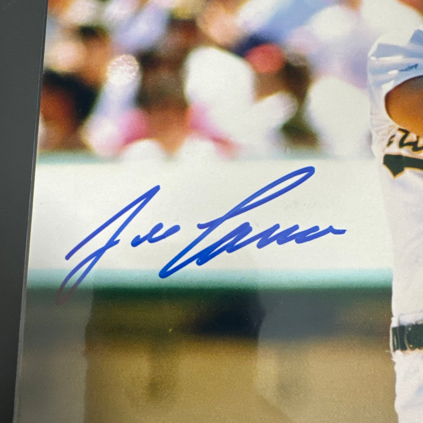 Jose Canseco Oakland Athletics Signed Photo